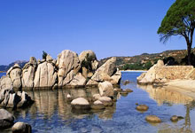 汽车滤清器油杯的作用和功能视频,油液滤清器